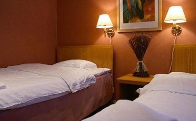 Отель Hotel Alexander Мянття-25